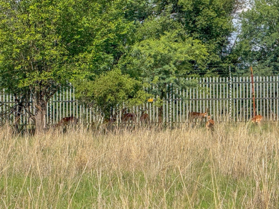 0 Bedroom Property for Sale in WestLake Country Safari Estate North West